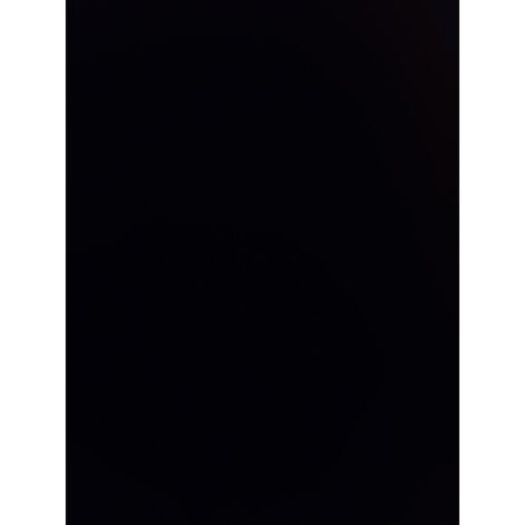 Burberry Brit Womens Small Button Down Collared Logo Equestrian Knight Shirt Top - Picture 4 of 5